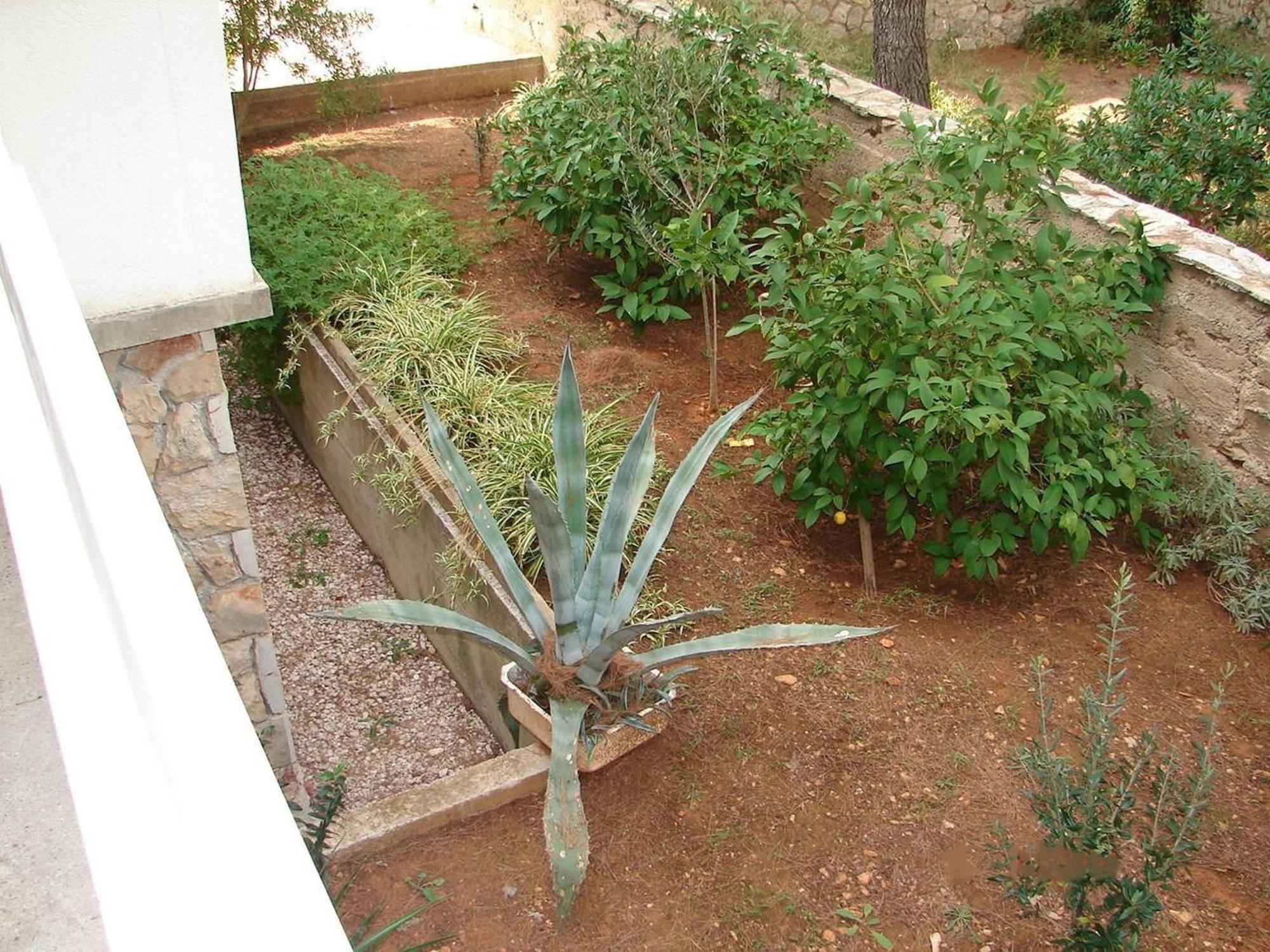 Apartments Matkov - Quite And Peaceful Location ييلسا المظهر الخارجي الصورة